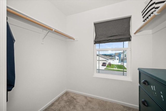 244 S Cameo Ave, Deer Park, WA 99006 - photo 28