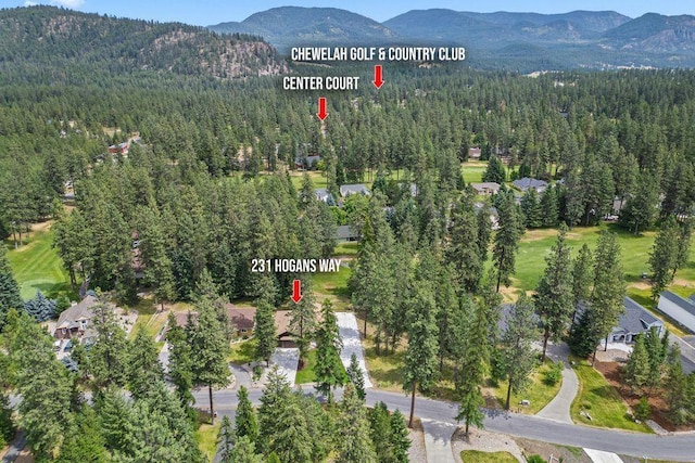 231 Hogans Way, Chewelah, WA 99109 - photo 36