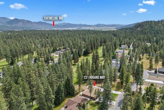 231 Hogans Way, Chewelah, WA 99109 - photo 37