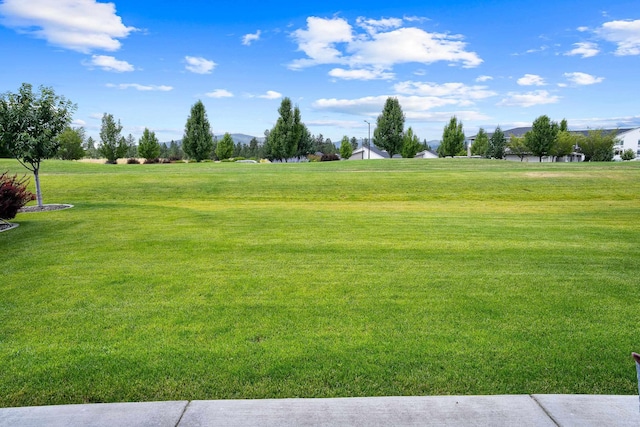 22512 E Penrose Ln, Liberty Lake, WA 99019 - photo 25