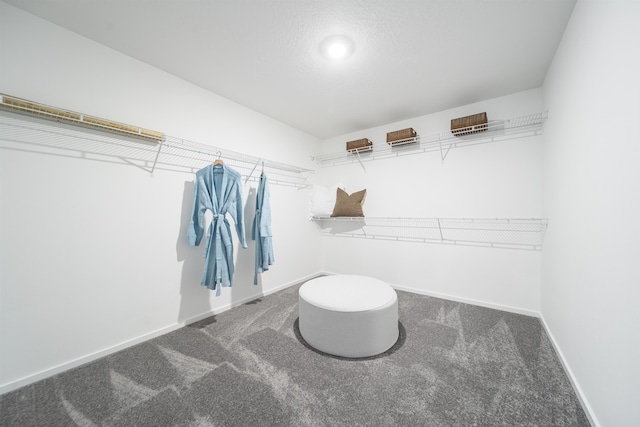 3059 S Coulter Ln, Spokane Valley, WA 99037 - photo 21