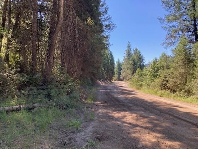 25XX Hall Creek Rd, Inchelium, WA 99138 - photo 12