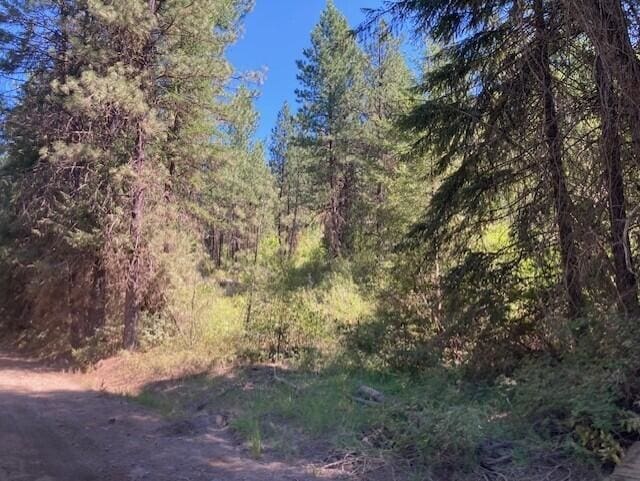 25XX Hall Creek Rd, Inchelium, WA 99138 - photo 13