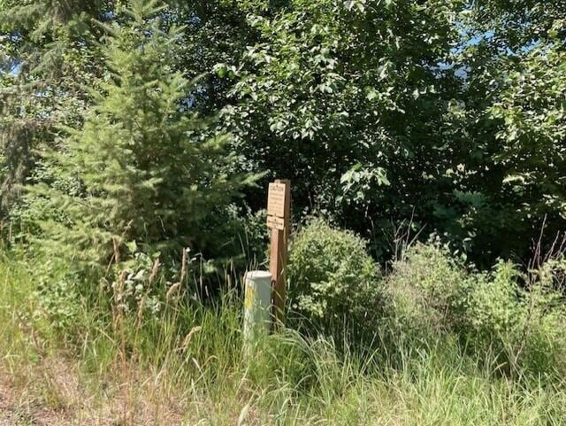 25XX Hall Creek Rd, Inchelium, WA 99138 - photo 14