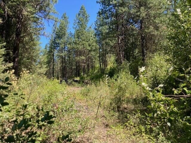 25XX Hall Creek Rd, Inchelium, WA 99138 - photo 16