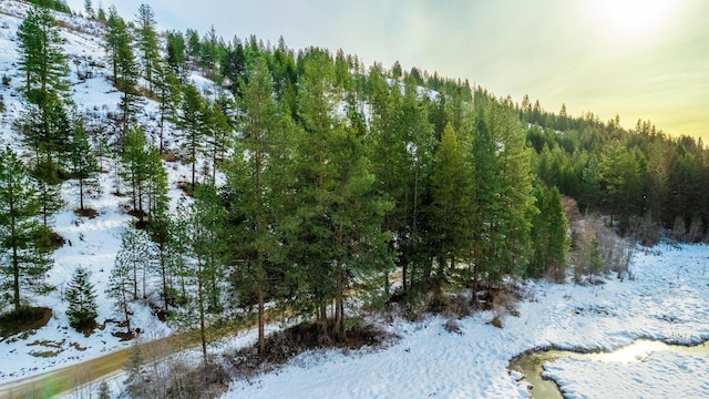 25XX Hall Creek Rd, Inchelium, WA 99138 - photo 21
