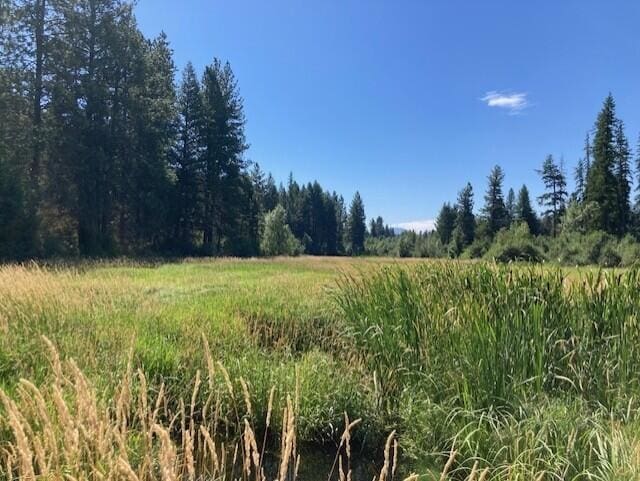 25XX Hall Creek Rd, Inchelium, WA 99138 - photo 8