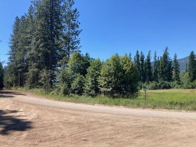 25XX Hall Creek Rd, Inchelium, WA 99138 - photo 10