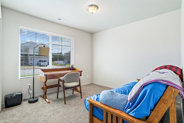 6718 S Chumani Rd, Cheney, WA 99004 - photo 19