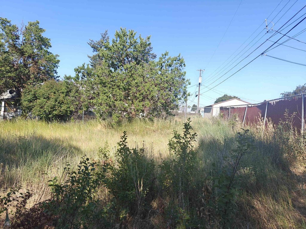 1689 E Garland Ave, Spokane, WA 99207 - photo 4