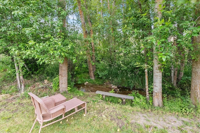 14313 E Blanchard Rd, Elk, WA 99009 - photo 24