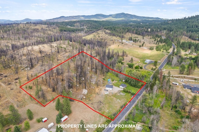 14313 E Blanchard Rd, Elk, WA 99009 - photo 36