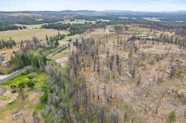 14313 E Blanchard Rd, Elk, WA 99009 - photo 39