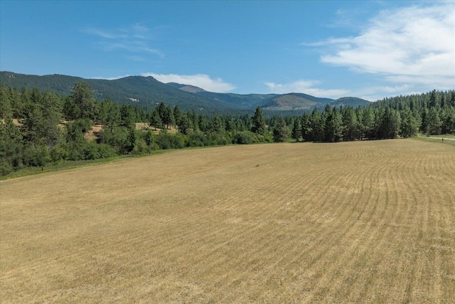 1424 N Idaho Rd, Liberty Lake, WA 99019 - photo 48