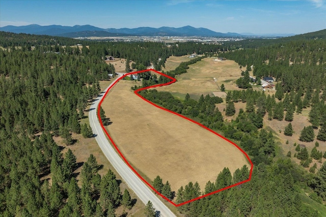 1424 N Idaho Rd, Liberty Lake, WA 99019 - photo 49