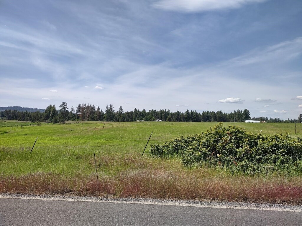XX Elk Chattaroy Rd, Elk, WA 99009 - photo 3