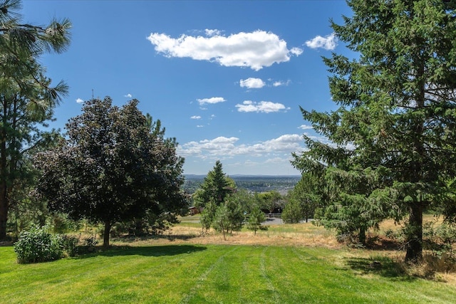 6903 E 42nd Ave, Spokane, WA 99223 - photo 34