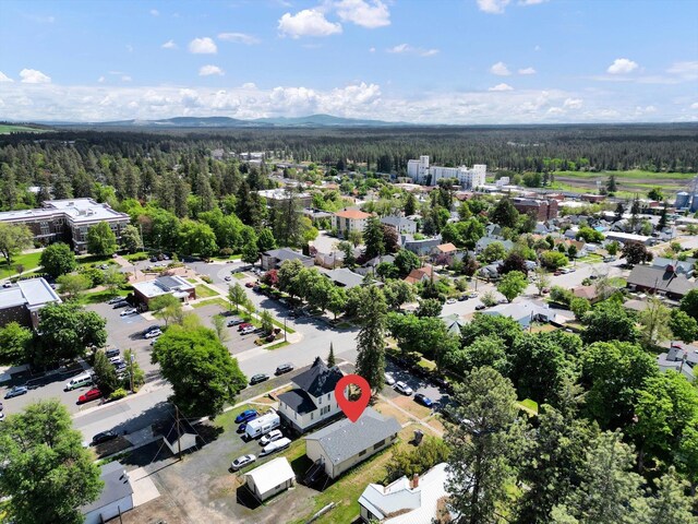 216 6th St, Cheney, WA 99004 - photo 25