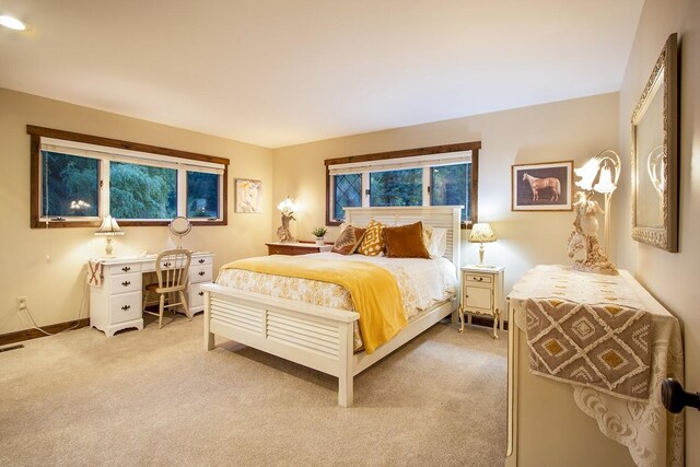 13121 S Campbell Rd, Rockford, WA 99030 - photo 16