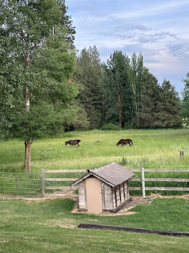 13121 S Campbell Rd, Rockford, WA 99030 - photo 40