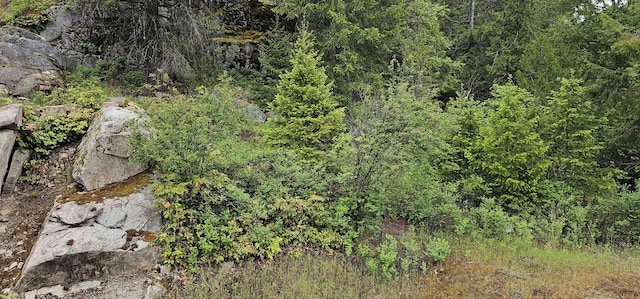 279X Deep Lake Boundary Rd, Colville, WA 99114 - photo 2