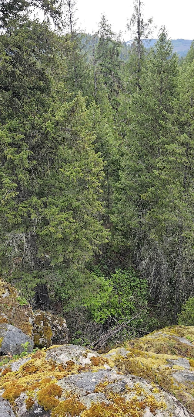 279X Deep Lake Boundary Rd, Colville, WA 99114 - photo 11