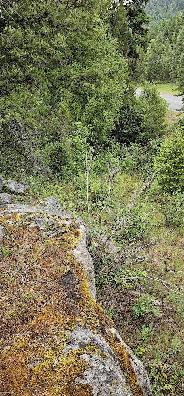 279X Deep Lake Boundary Rd, Colville, WA 99114 - photo 12