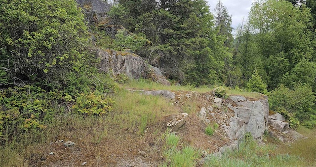 279X Deep Lake Boundary Rd, Colville, WA 99114 - photo 3