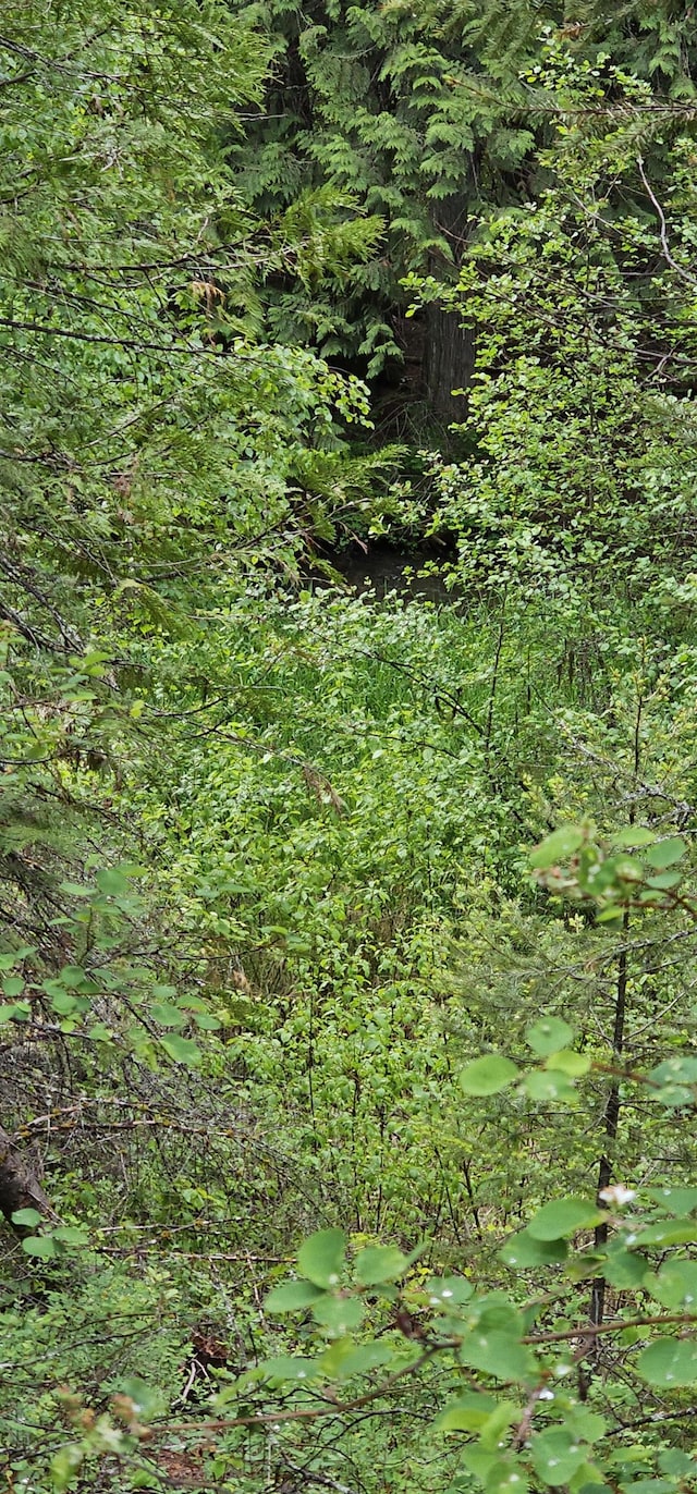 279X Deep Lake Boundary Rd, Colville, WA 99114 - photo 7