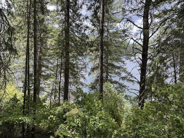 3999 Bayside Way, Loon Lake, WA 99148 - photo 14