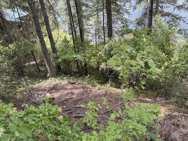 3999 Bayside Way, Loon Lake, WA 99148 - photo 15