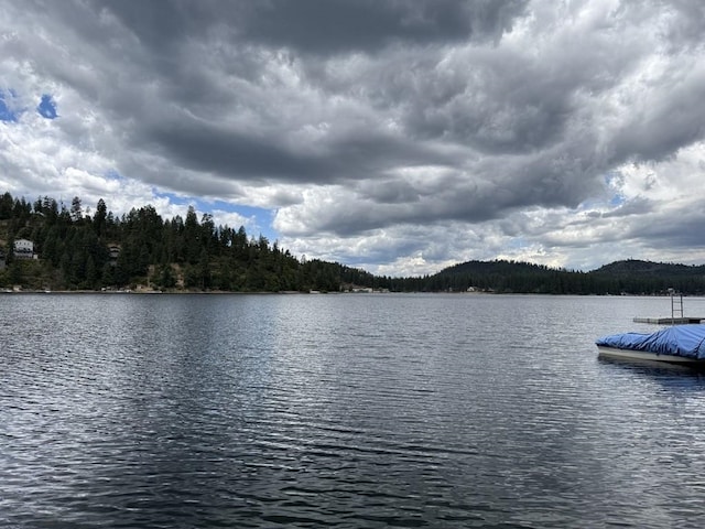 3999 Bayside Way, Loon Lake, WA 99148 - photo 3