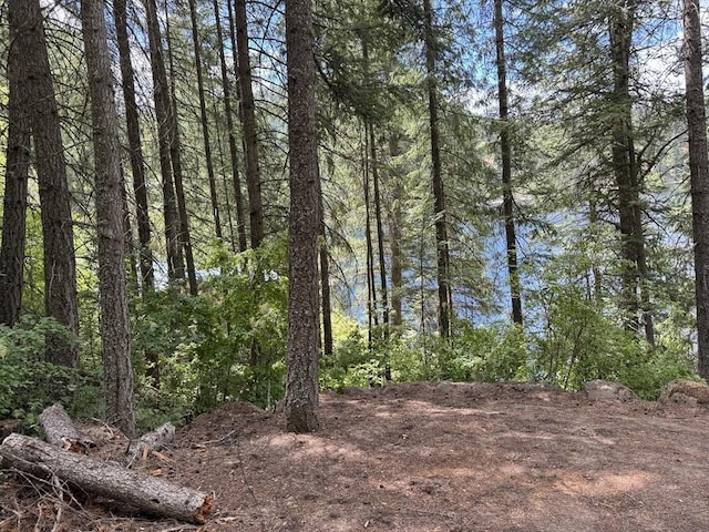 3999 Bayside Way, Loon Lake, WA 99148 - photo 7