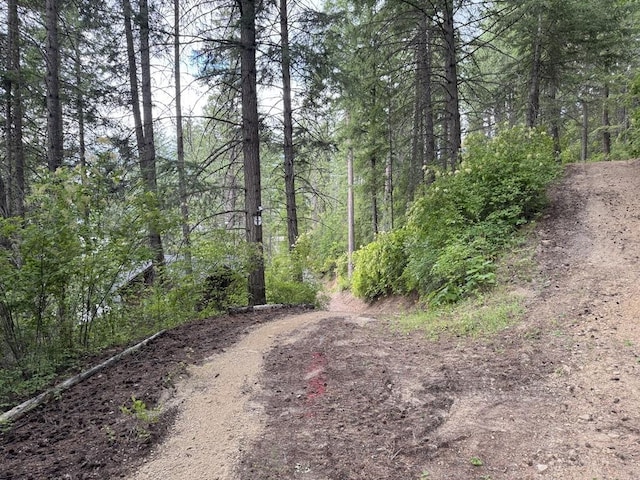 3999 Bayside Way, Loon Lake, WA 99148 - photo 8