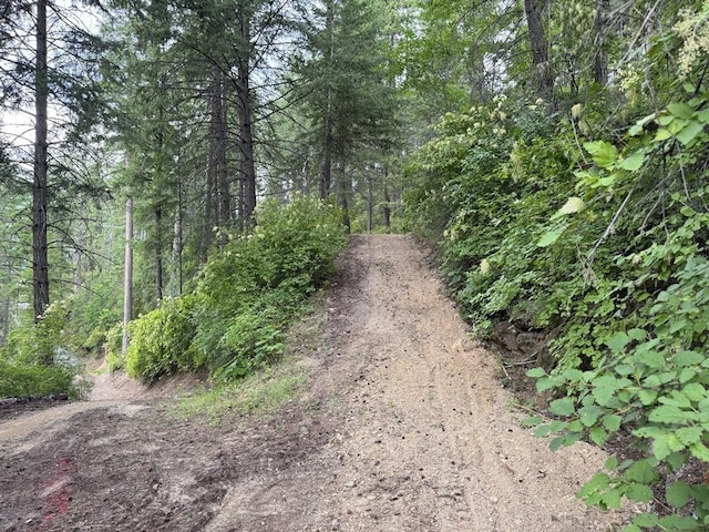 3999 Bayside Way, Loon Lake, WA 99148 - photo 10