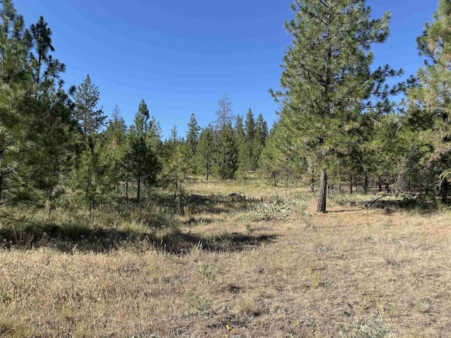 000 Tbd Rd, Davenport, WA 99122 - photo 1