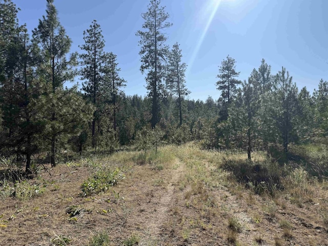 000 Tbd Rd, Davenport, WA 99122 - photo 3