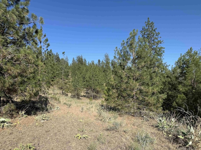 000 Tbd Rd, Davenport, WA 99122 - photo 4