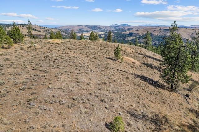 34740 Partridge Ln, Davenport, WA 99122 - photo 33