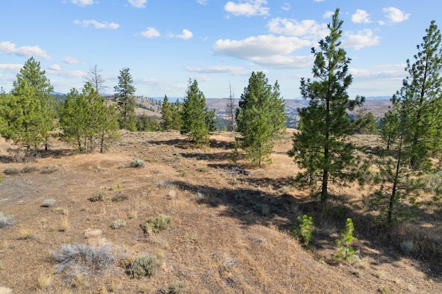 34740 Partridge Ln, Davenport, WA 99122 - photo 34