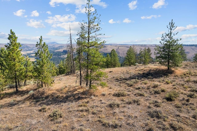 34740 Partridge Ln, Davenport, WA 99122 - photo 40