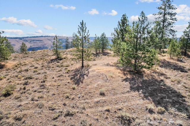 34740 Partridge Ln, Davenport, WA 99122 - photo 41
