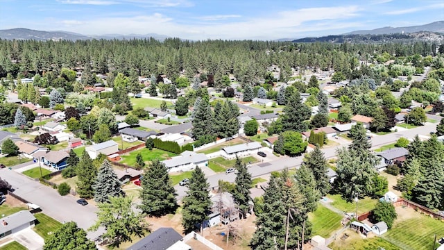 12604 E Skyview Ave, Spokane Valley, WA 99216 - photo 43