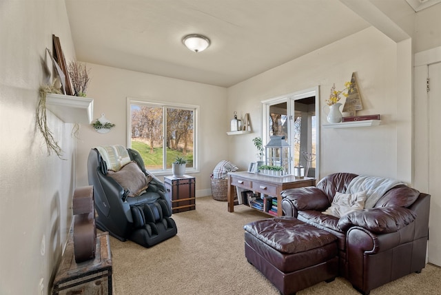 9707 N Elkins Rd, Reardan, WA 99029 - photo 9