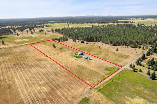21608 S Mill Rd, Spangle, WA 99031 - photo 31