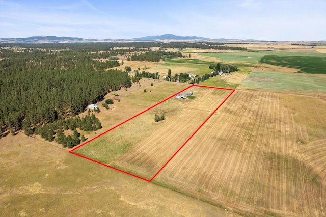 21608 S Mill Rd, Spangle, WA 99031 - photo 32