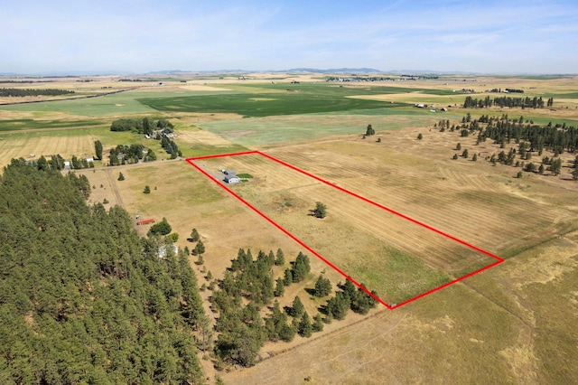 21608 S Mill Rd, Spangle, WA 99031 - photo 33