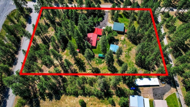 3627 E Norwood Rd, Colbert, WA 99005 - photo 8