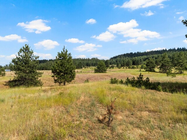 20414 N Felspar Rd, Deer Park, WA 99006 - photo 50