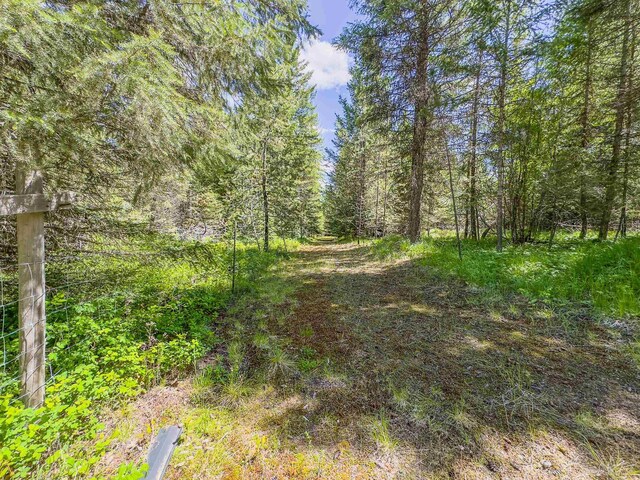 351 Stohr Rd, Newport, WA 99156 - photo 1